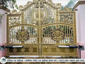 Cổng tự động tại Cần Thơ  